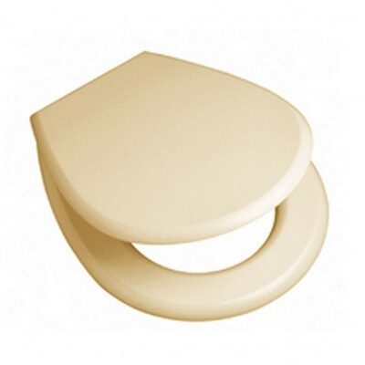 Asiento Reforzado Daccord Champagne [xUnidad]